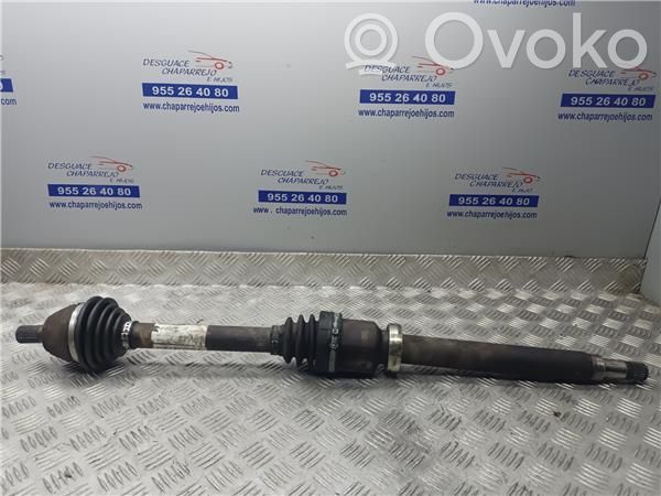 Ford Focus Vorderachse 