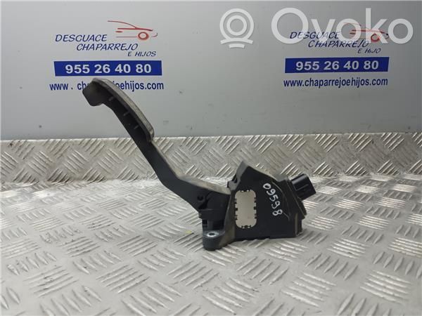 Gaspedal   781100D010