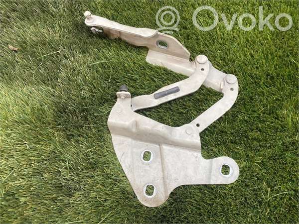 BMW X1 E84 Cerniere del vano motore/cofano 