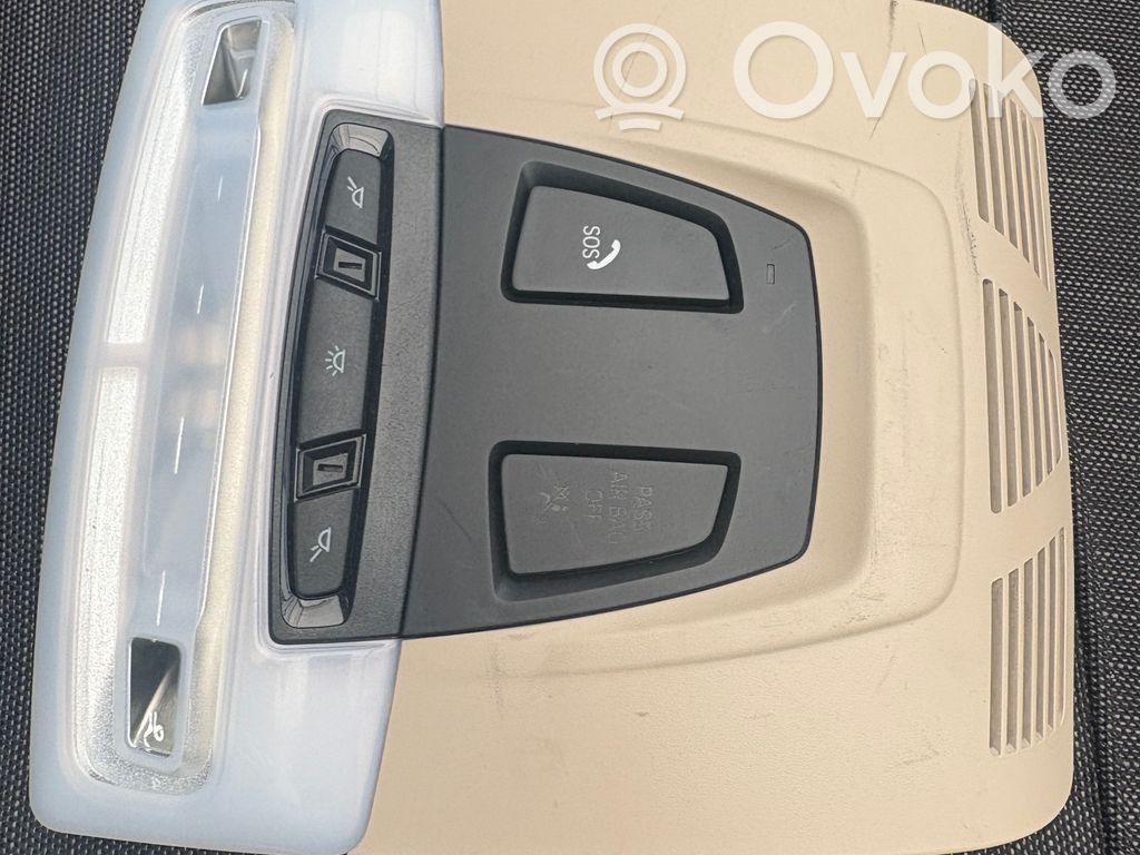BMW X5 F15 Front seat light 
