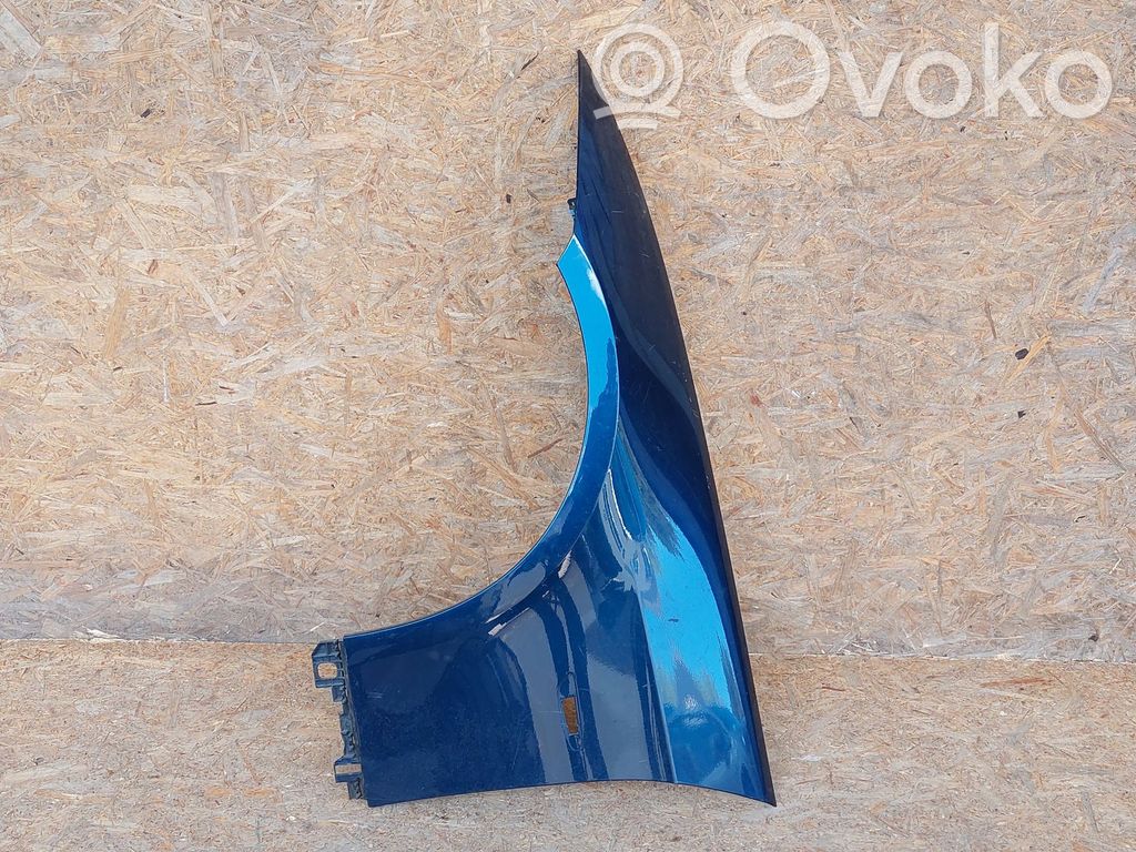 Fender   7146065,KAI1