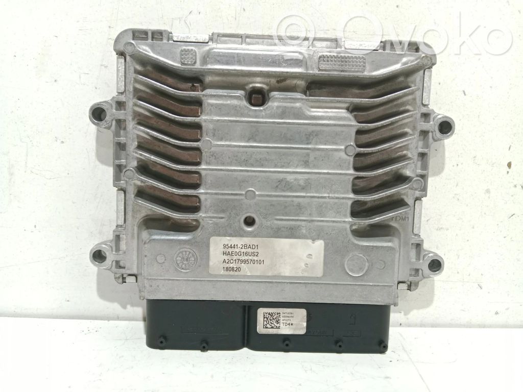 Engine control unit/module   954412BAD1,A2C1799570101