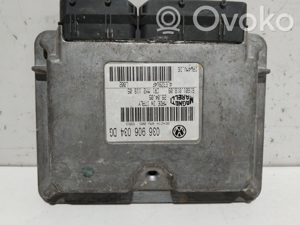 Seat Ibiza III (6L) Centralina/modulo del motore