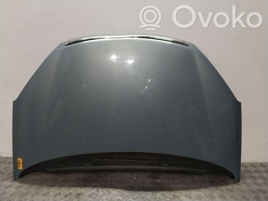 Capotă motor   1493967