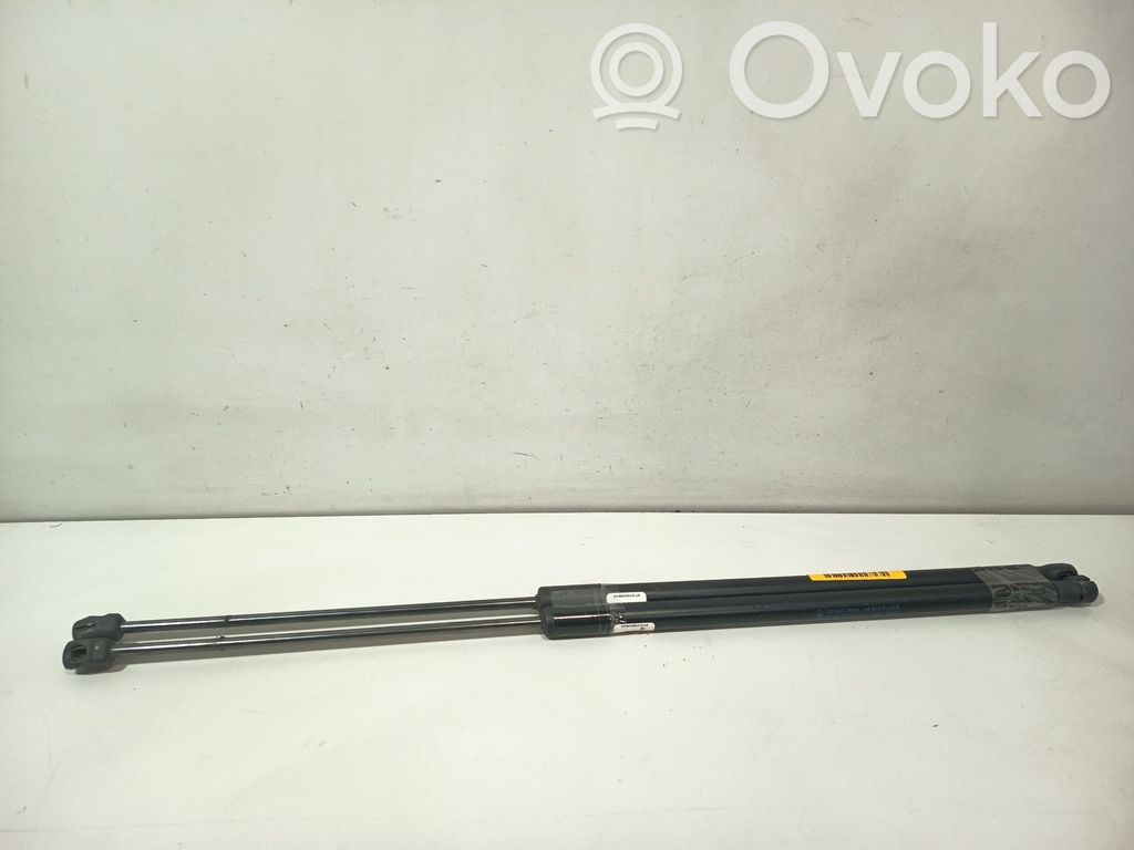 Ford C-MAX II Tailgate/trunk strut/damper 
