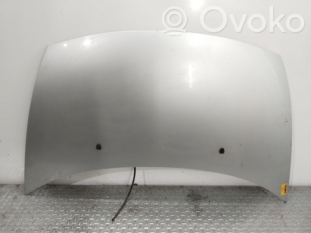 Motorhaube   7901K6
