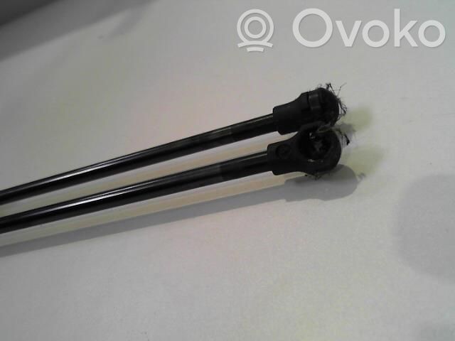 Citroen DS3 Tailgate/trunk strut/damper 