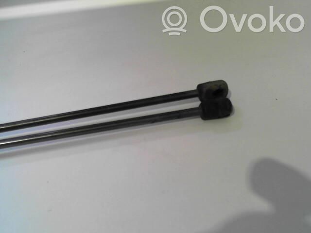 Ford Focus Tailgate/trunk strut/damper 