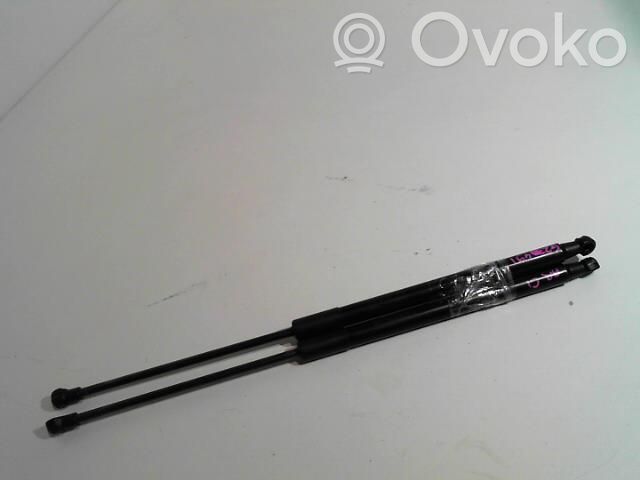 Citroen C1 Tailgate/trunk strut/damper 