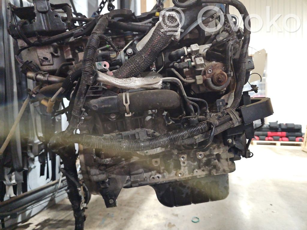 Ford B-MAX Variklis 