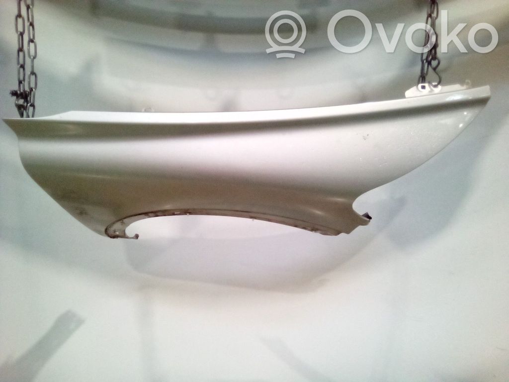 Guardabarro   31253950