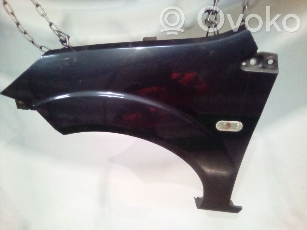 Guardabarro   1405185