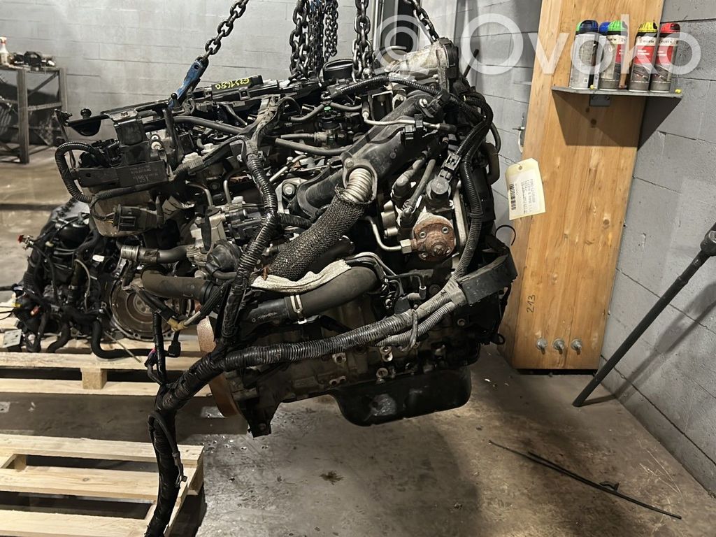 Ford Fiesta Moottori 