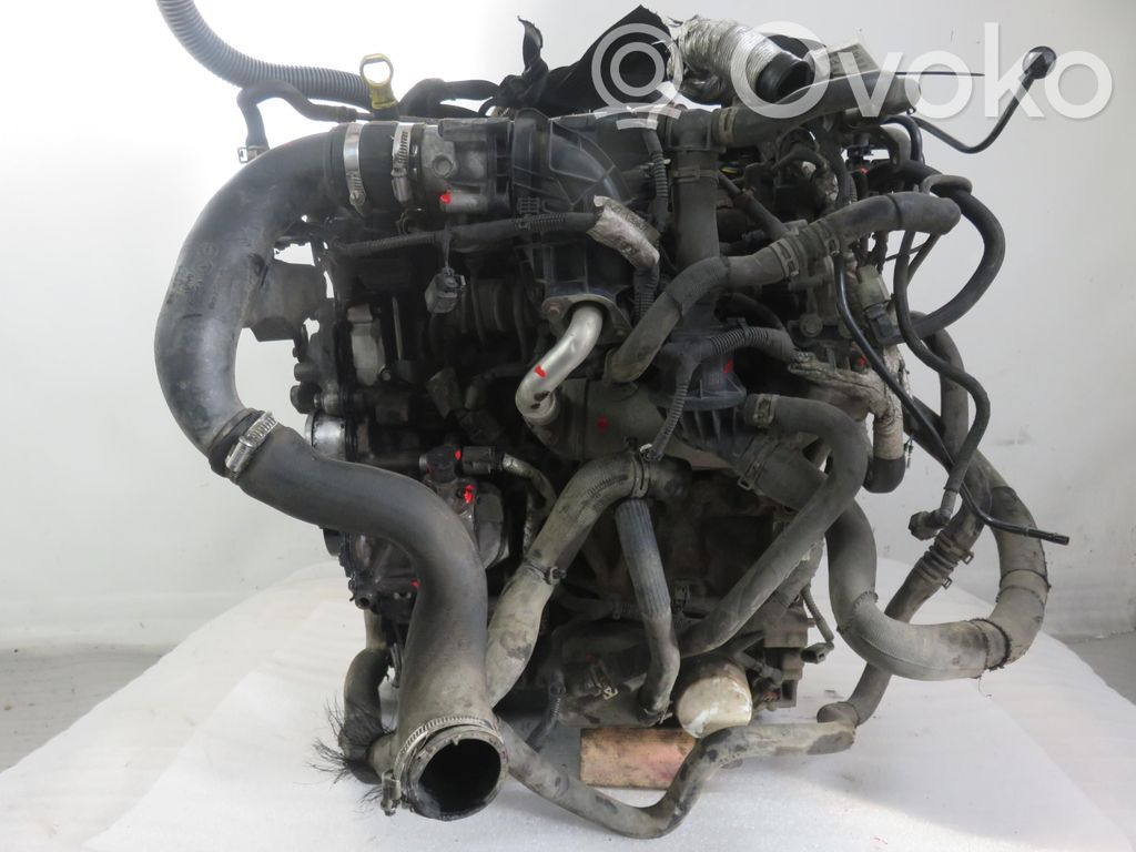 Motore   YLF6,YLF6