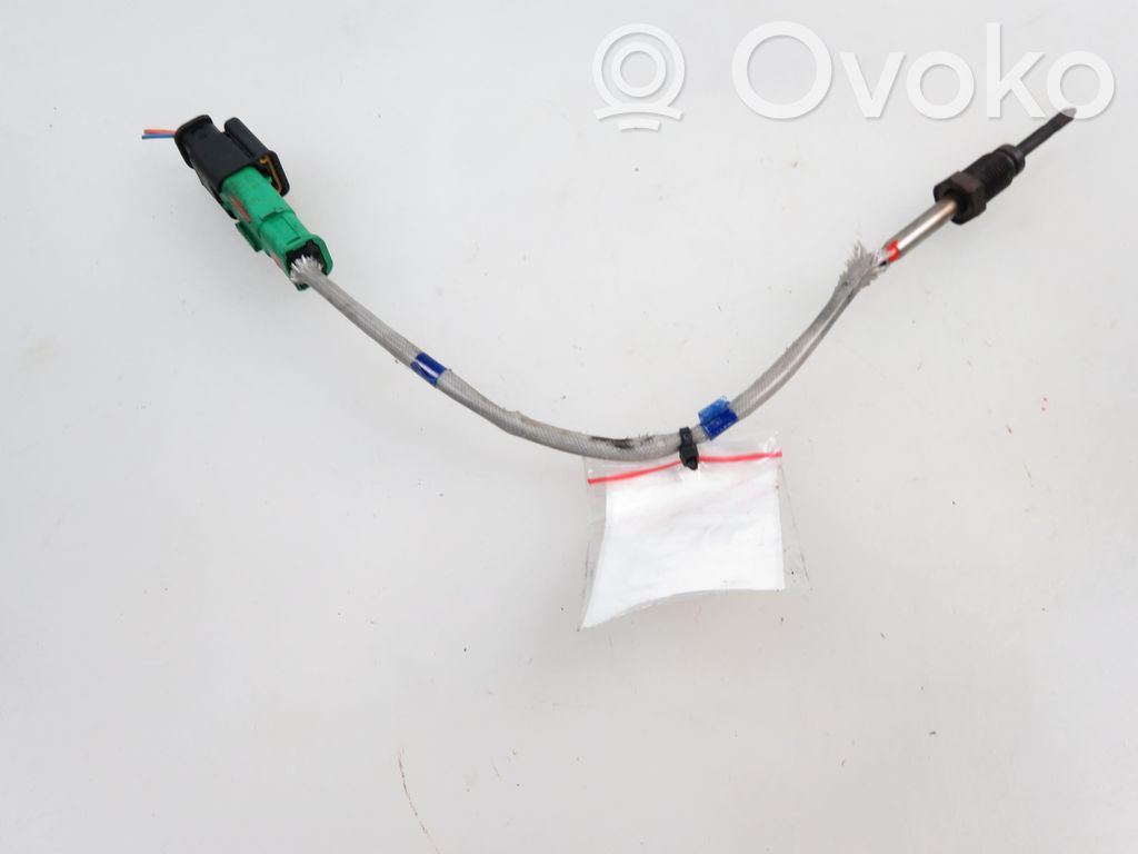 Citroen C5 Exhaust gas temperature sensor 