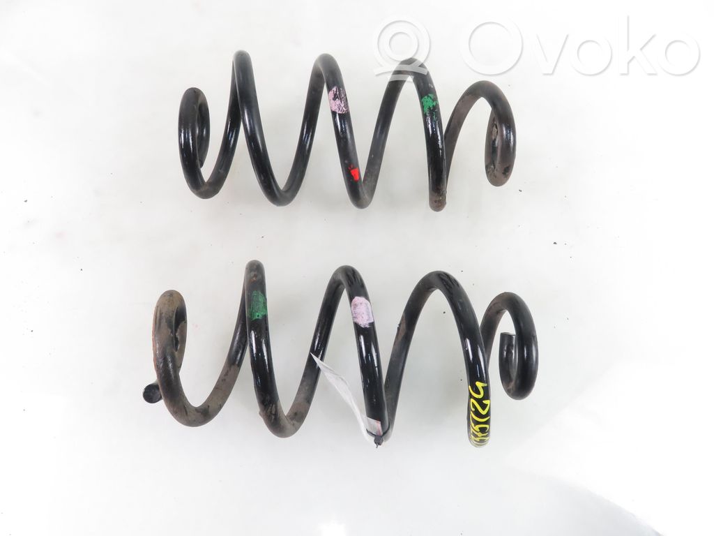 Rear coil spring