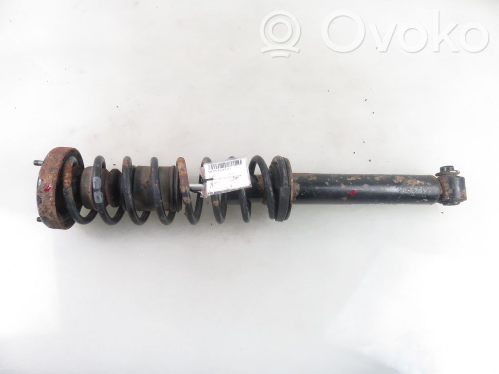 Rear shock absorber with coil spring