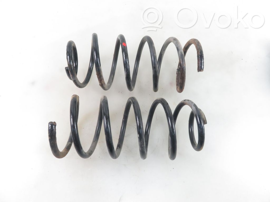 Rear coil spring