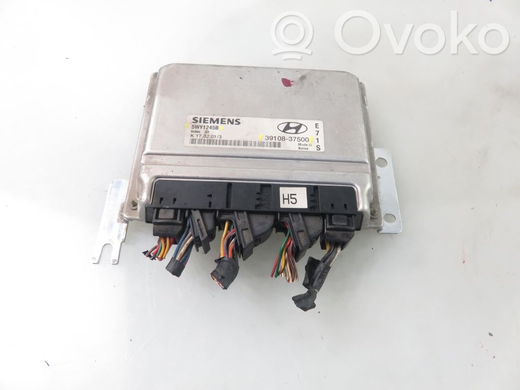Hyundai Santa Fe Engine control unit/module 