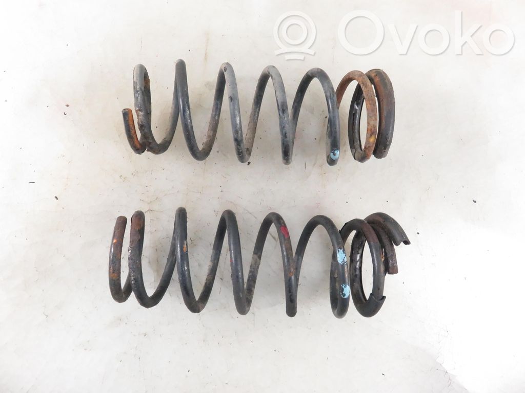 Rear coil spring