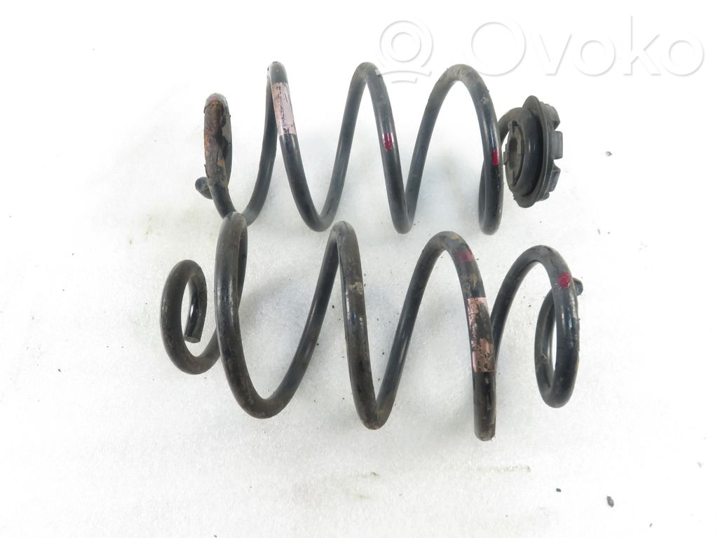Rear coil spring