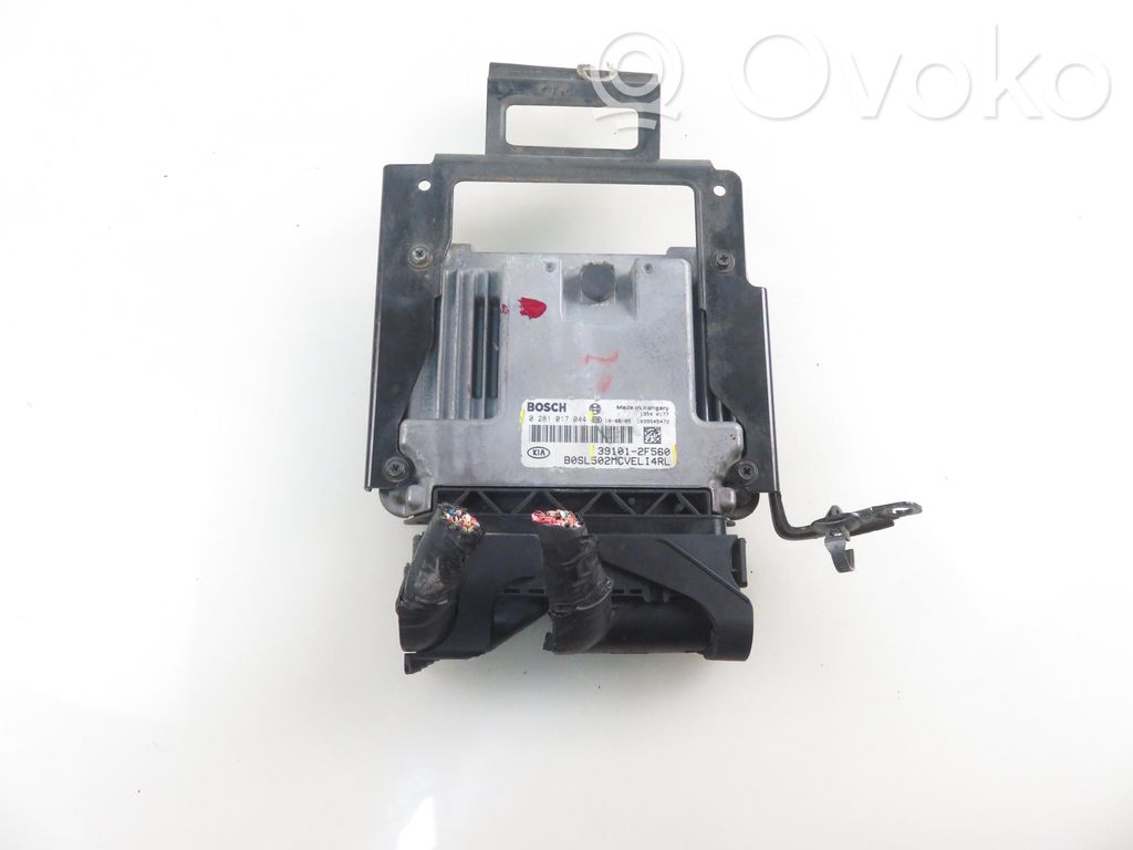 Engine control unit/module   0281017044,391012F560,0281017044,391012F560