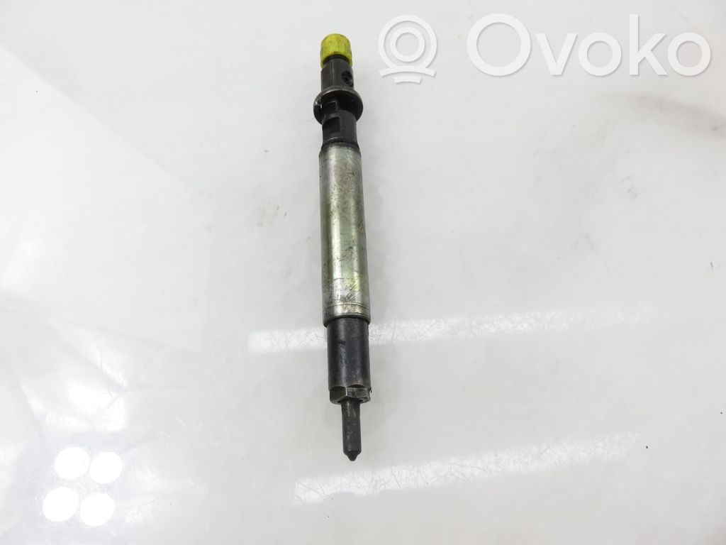 Citroen C3 Fuel injector 
