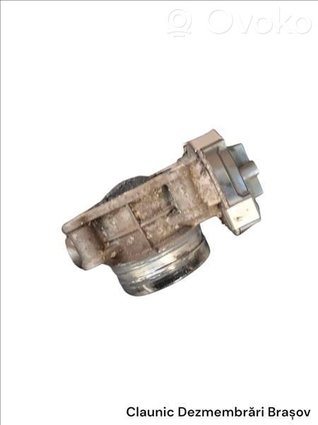Throttle valve   25183238,CH0112529679