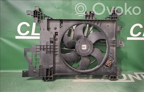 Elektrolüfter   214816758R
