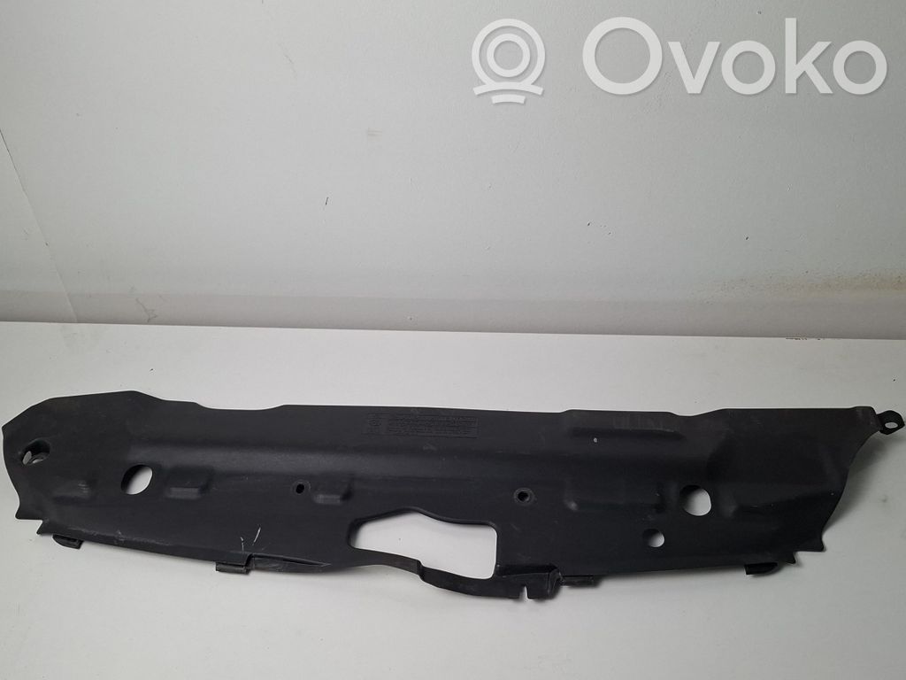 Radiator trim   5328902010D