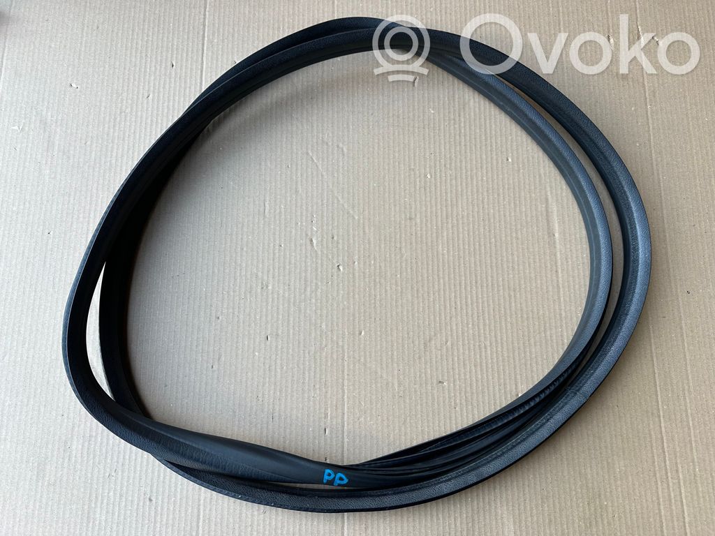 Renault Clio IV Front door rubber seal 