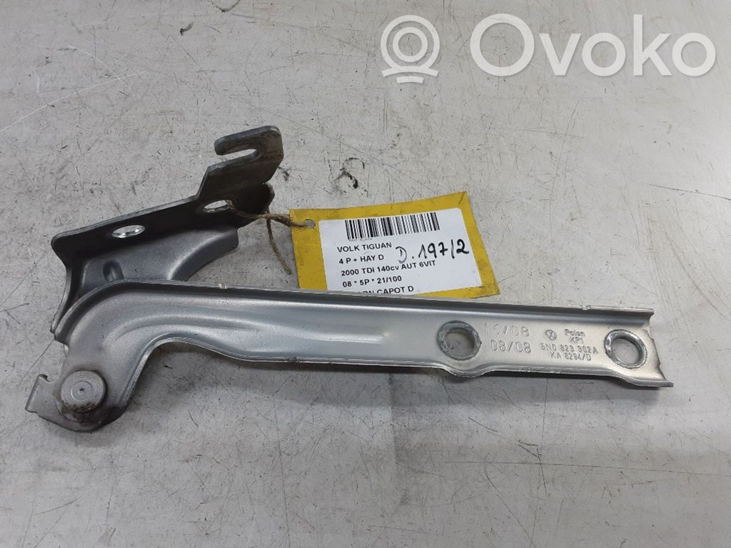 Volkswagen Tiguan Balamale capotă 