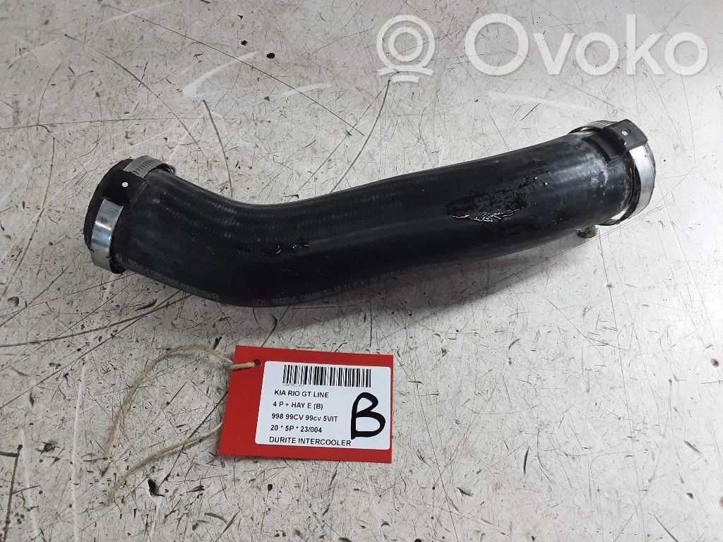 Intercooler hose/pipe   U306832080,U306832080