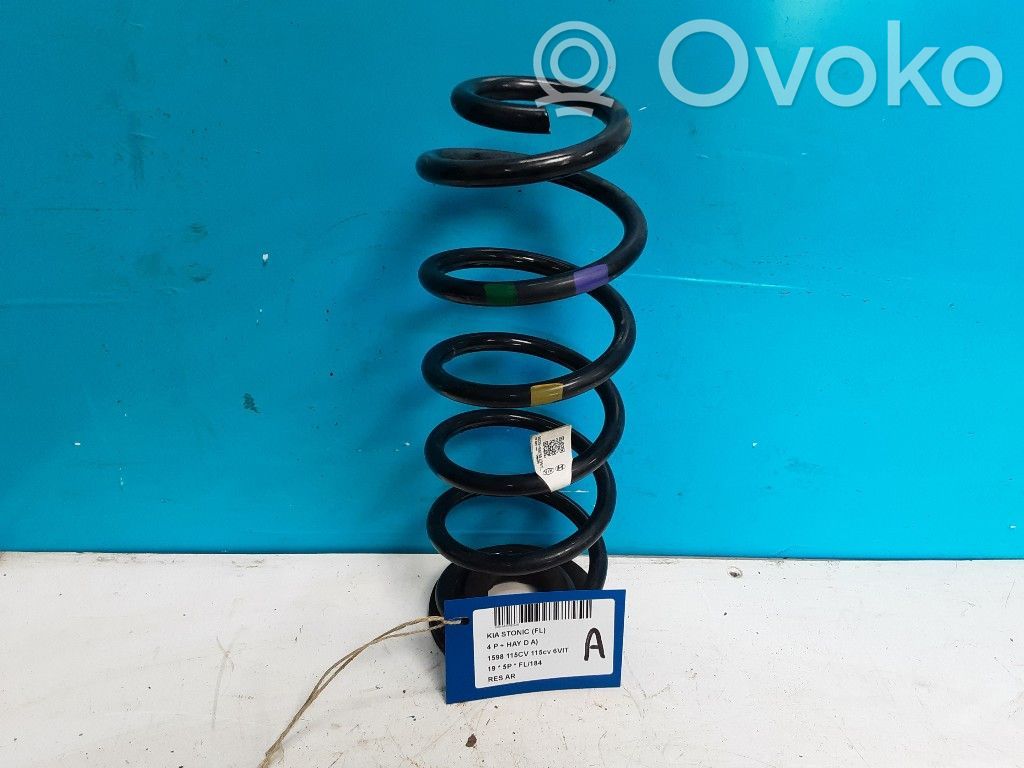 Rear coil spring