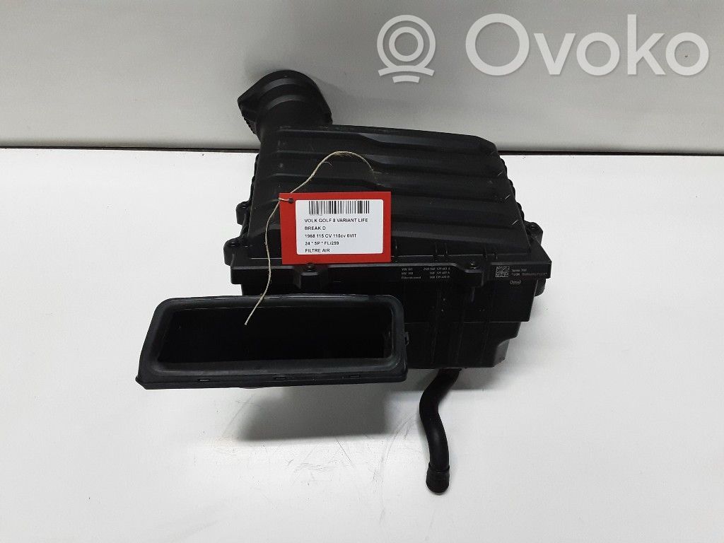 Volkswagen Golf VIII Oro filtras 