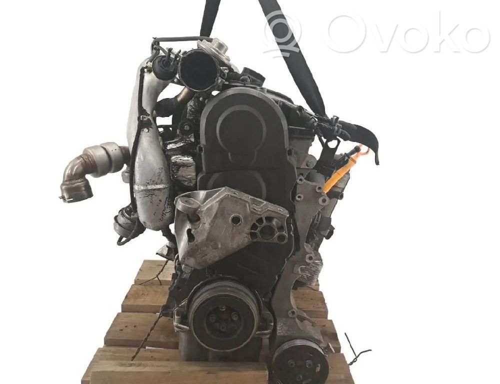 Audi A3 S3 8L Motor 