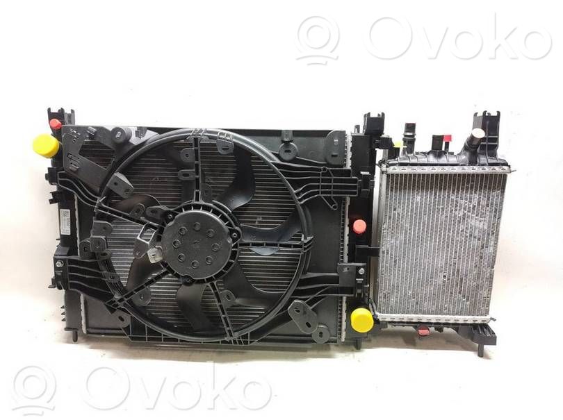 Radiatora komplekts   21460D470A,P54G,T92326BC,487D470A,DB5H61480A,T474102A