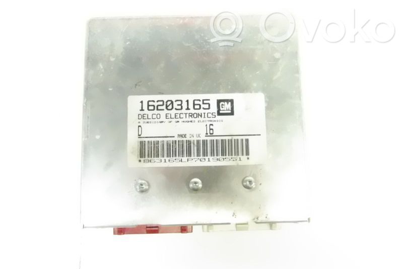 Sterownik / Moduł ECU   16203165,16203165