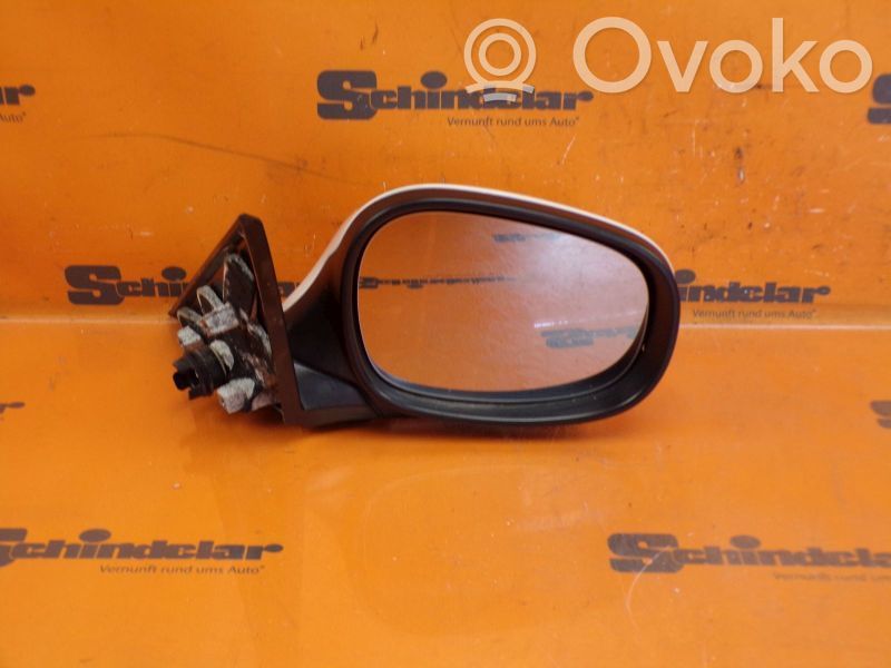 Element lusterka bocznego drzwi przednich   E1021017,E1021017