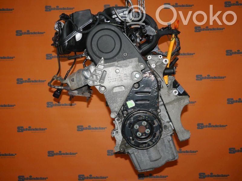 Variklis   06A100043P,06A100098LX,06A100043P,06A100098LX