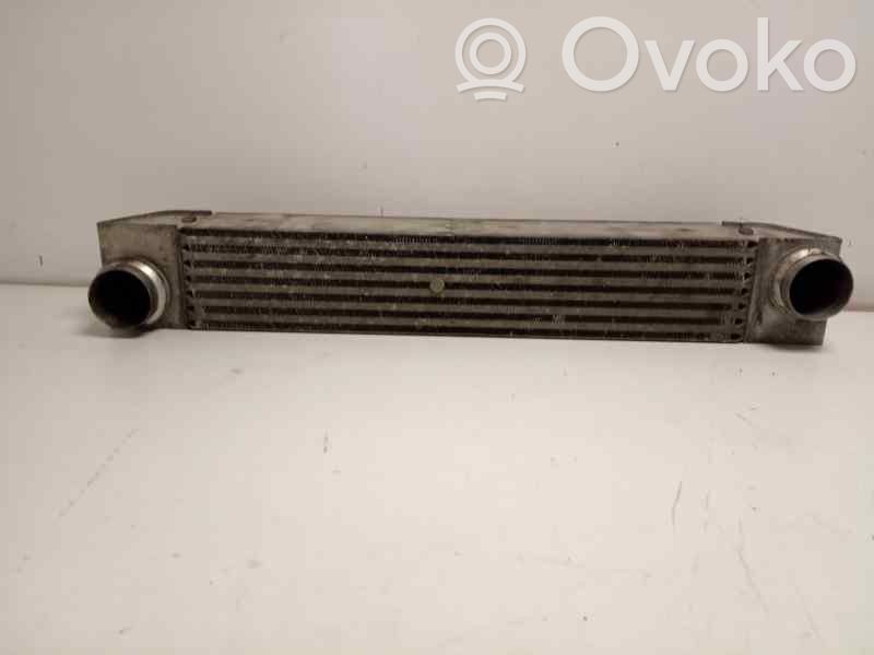 Radiador intercooler   17007787446,30317