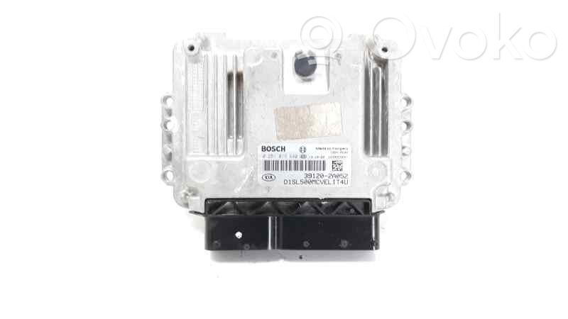 Unidad de control/módulo del motor   391202A052,391202A052,0281019640