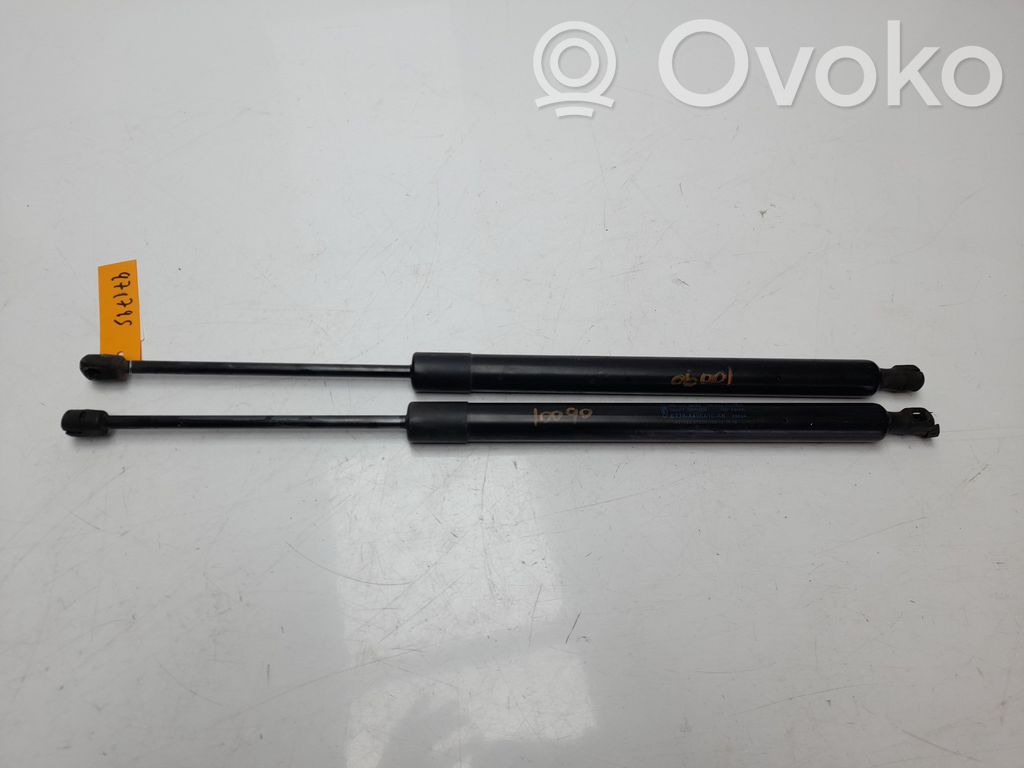 Amortiguador/puntal del maletero/compartimento de carga   RT76A406A10,RT76A406A10