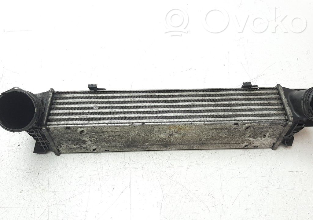 Intercooler radiator   79878802,30907A