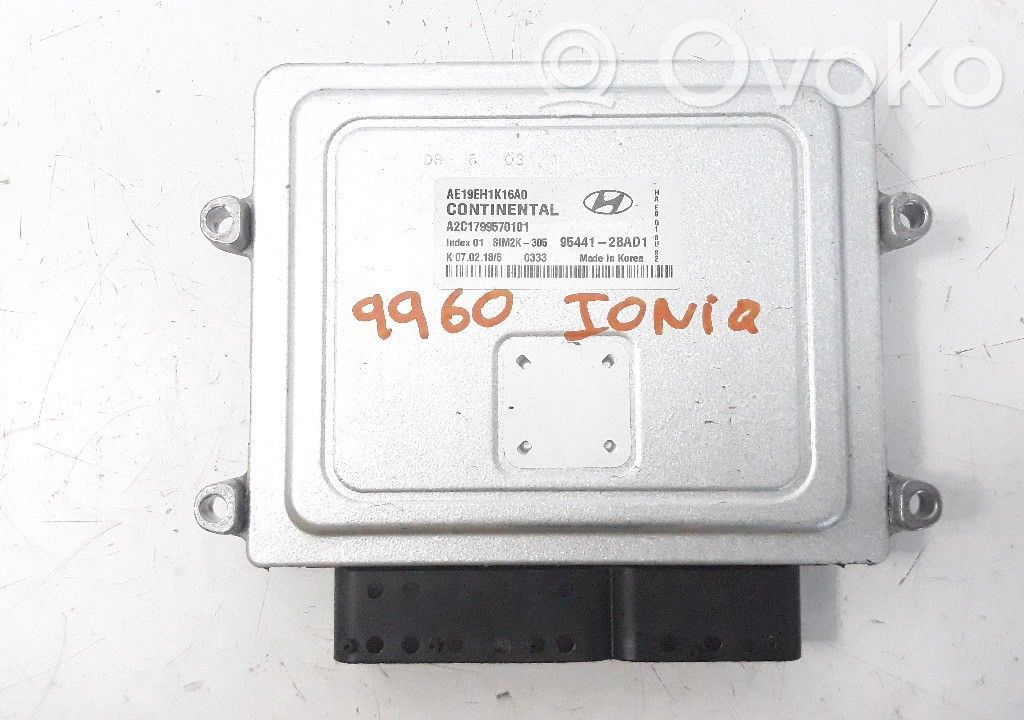 Engine control unit/module   954412BAD1,AE19EH1K16A0,A2C1799570101