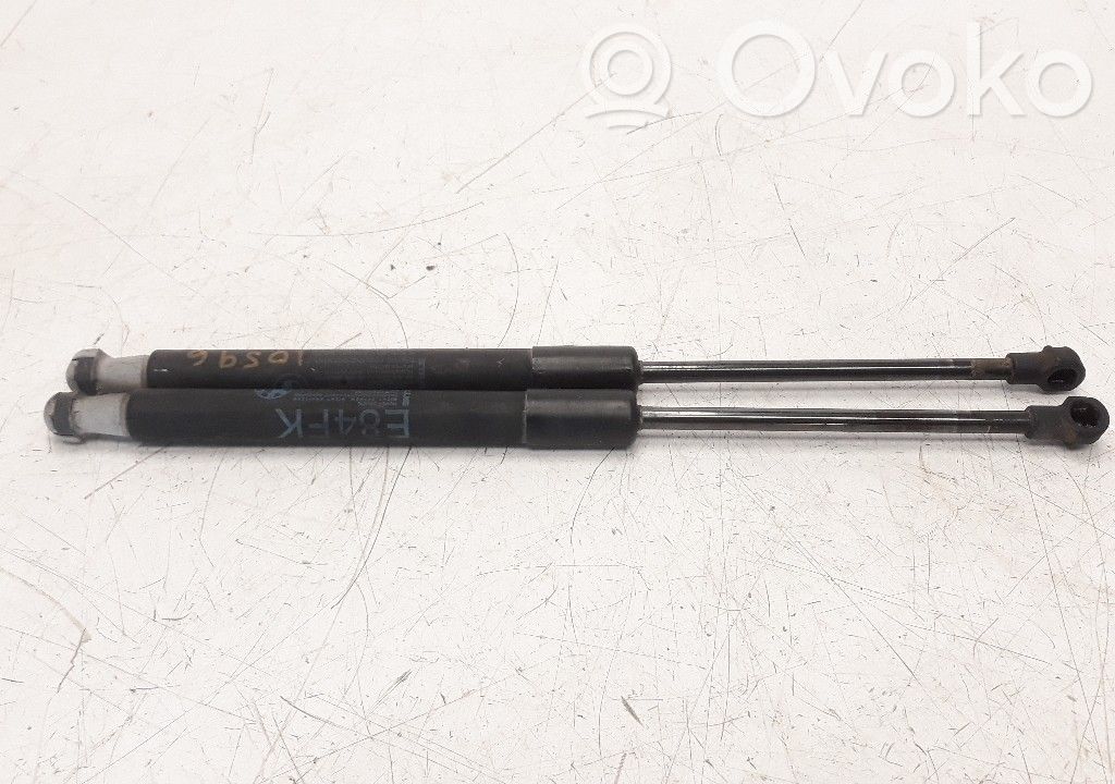 Amortizor capotă motor   51232990344
