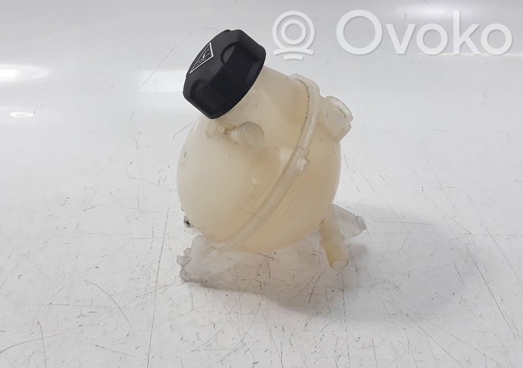 Vaso di espansione carburante   9800777280
