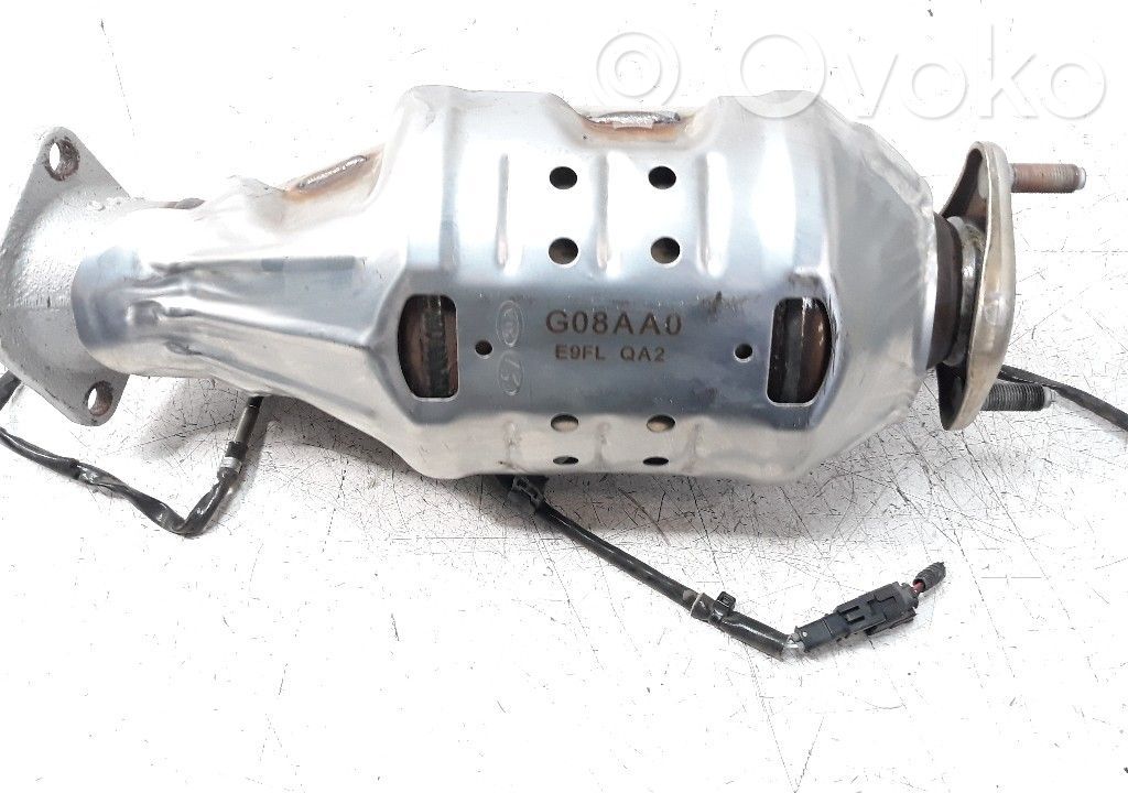 Catalyst/FAP/DPF particulate filter   G08AA0