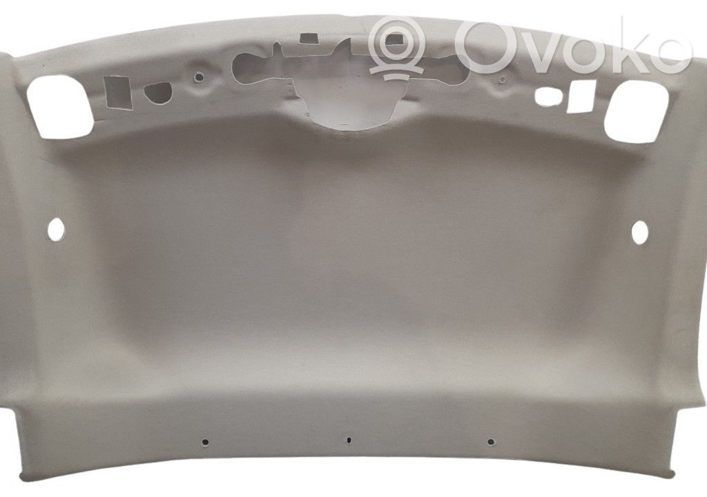 Roof   739103209R,572116610