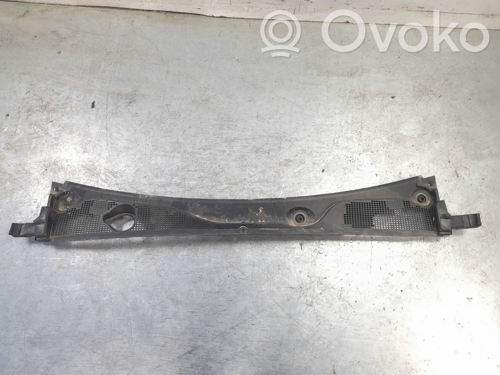 Ornament parbriz   668119050R